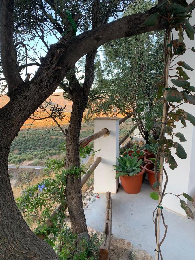Cortijo Samadhi Guest House Lanjaron Exterior photo