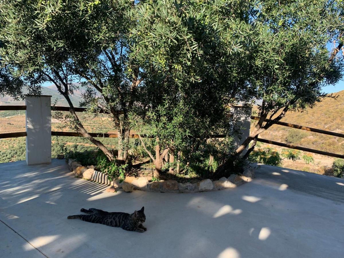 Cortijo Samadhi Guest House Lanjaron Exterior photo